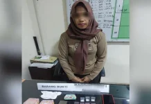 Edarkan Sabu, Polisi Ringkus IRT di Konut Edarkan Sabu, Polisi Ringkus IRT di Konut