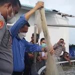 Uji Coba Budi Daya Udang Vaname Sukses di Wakatobi Uji Coba Budi Daya Udang Vaname Sukses di Wakatobi