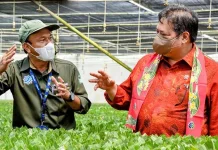 Pemerintah Komitmen Terapkan Green Economy untuk Pembangunan Berkelanjutan Pemerintah Komitmen Terapkan Green Economy untuk Pembangunan Berkelanjutan