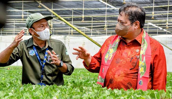 Pemerintah Komitmen Terapkan Green Economy untuk Pembangunan Berkelanjutan