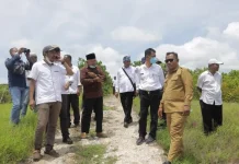 Bupati Wakatobi Tinjau Lokasi Rencana Pengembangan Udang Vaname di Tomia Bupati Wakatobi Tinjau Lokasi Rencana Pengembangan Udang Vaname di Tomia