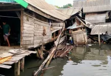 Hujan Deras, Satu Unit Rumah di Muna Barat Roboh Hujan Deras, Satu Unit Rumah di Muna Barat Roboh