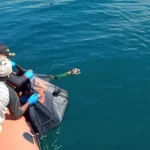 Nelayan di Konut Ditemukan Meninggal Dunia Usia Tenggelam Tiga Hari Nelayan di Konut Ditemukan Meninggal Dunia Usia Tenggelam Tiga Hari