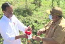 Ali Mazi Serahkan “Tanah-Air” ke Jokowi di Titik Nol Ibu Kota Negara Ali Mazi Serahkan “Tanah-Air” ke Jokowi di Titik Nol Ibu Kota Negara