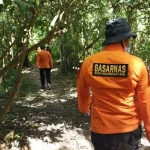 Seorang Warga Konawe Hilang di Hutan, Pencarian Sedang Dilakukan Seorang Warga Konawe Hilang di Hutan, Pencarian Sedang Dilakukan