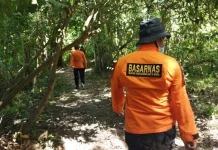 Seorang Warga Konawe Hilang di Hutan, Pencarian Sedang Dilakukan Seorang Warga Konawe Hilang di Hutan, Pencarian Sedang Dilakukan