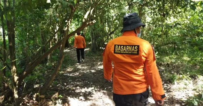 Seorang Warga Konawe Hilang di Hutan, Pencarian Sedang Dilakukan