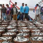 BI Sultra Sebut Ikan Segar Penyumbang Inflasi saat Ramadan 4 Tahun Terakhir BI Sultra Sebut Ikan Segar Penyumbang Inflasi saat Ramadan 4 Tahun Terakhir