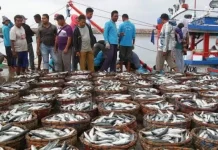 BI Sultra Sebut Ikan Segar Penyumbang Inflasi saat Ramadan 4 Tahun Terakhir BI Sultra Sebut Ikan Segar Penyumbang Inflasi saat Ramadan 4 Tahun Terakhir