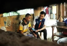 Perkuat Ekosistem Digital, BRI Berhasil Salurkan KUR Rp66,99 Triliun dalam 3 Bulan Perkuat Ekosistem Digital, BRI Berhasil Salurkan KUR Rp66,99 Triliun dalam 3 Bulan