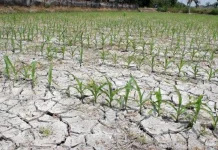 BMKG Imbau Pemda dan Masyarakat Persiapkan Diri Hadapi Musim Kemarau 2022 BMKG Imbau Pemda dan Masyarakat Persiapkan Diri Hadapi Musim Kemarau 2022