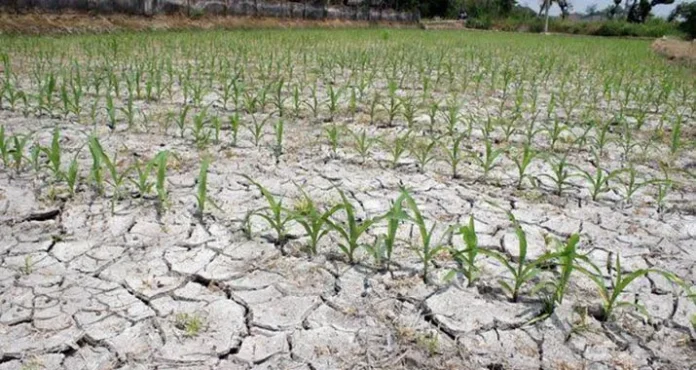 BMKG Imbau Pemda dan Masyarakat Persiapkan Diri Hadapi Musim Kemarau 2022