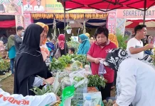 Pasar Tani Hiasi Stand Expo Dinas Pertanian Kota Kendari Pasar Tani Hiasi Stand Expo Dinas Pertanian Kota Kendari