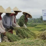 Pembiayaan Ultra Mikro Selamatkan Petani dari Jeratan Rentenir Pembiayaan Ultra Mikro Selamatkan Petani dari Jeratan Rentenir