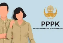 1.094 Peserta Tidak Lulus Seleksi Berkas PPPK 2023 Lingkup Pemprov Sultra Ilustrasi pppk