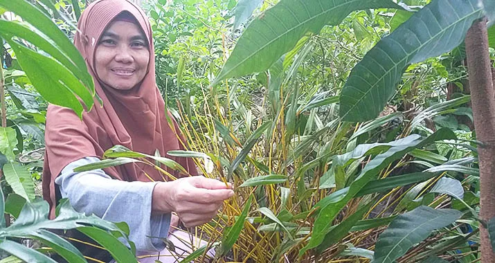 Jalan Panjang Pelestarian Sang Tanaman Dewa