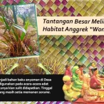 Tantangan Besar Melindungi Habitat Anggrek “Wonua Sorume”