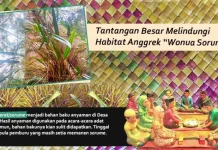Tantangan Besar Melindungi Habitat Anggrek “Wonua Sorume” Tantangan Besar Melindungi Habitat Anggrek “Wonua Sorume”