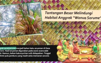 Tantangan Besar Melindungi Habitat Anggrek “Wonua Sorume” Tantangan Besar Melindungi Habitat Anggrek “Wonua Sorume”