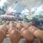 Jelang Iduladha, Harga Bahan Pokok di Kendari Melonjak Naik Jelang Iduladha, Harga Bahan Pokok di Kendari Melonjak Naik