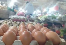 Jelang Iduladha, Harga Bahan Pokok di Kendari Melonjak Naik Jelang Iduladha, Harga Bahan Pokok di Kendari Melonjak Naik