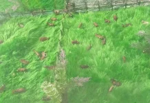 Populasi Ternak di Sultra Didominasi Ayam, Jumlahnya 11 Juta Ekor Populasi Ternak di Sultra Didominasi Ayam, Jumlahnya 11 Juta Ekor