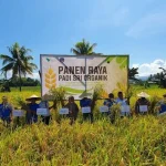 SRI Organik PT Vale, Harapan Baru Pertanian Produktif dan Ramah Lingkungan di Pomalaa SRI Organik PT Vale, Harapan Baru Pertanian Produktif dan Ramah Lingkungan di Pomalaa