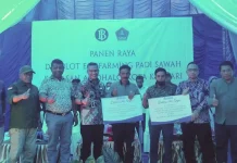 BI Sultra Beri Bantuan Digital Farming pada Dua Gapoktan di Amohalo Kendari BI Sultra Beri Bantuan Digital Farming pada Dua Gapoktan di Amohalo Kendari