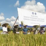 Hasil Panen Padi Organik Meningkat, Sulkarnain akan Datangkan 100 Ekor Sapi di Amohalo Hasil Panen Padi Organik Meningkat, Sulkarnain akan Datangkan 100 Ekor Sapi di Amohalo