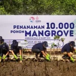 Hari Lingkungan Hidup Internasional, BRI Perkuat Komitmen Atasi Perubahan Iklim Hari Lingkungan Hidup Internasional, BRI Perkuat Komitmen Atasi Perubahan Iklim