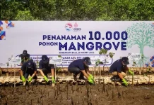 Hari Lingkungan Hidup Internasional, BRI Perkuat Komitmen Atasi Perubahan Iklim Hari Lingkungan Hidup Internasional, BRI Perkuat Komitmen Atasi Perubahan Iklim