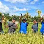 Berkat Dukungan PT Vale, Milenial Pomalaa Mulai Melek Pertanian Organik Berkat Dukungan PT Vale, Milenial Pomalaa Mulai Melek Pertanian Organik