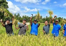 Berkat Dukungan PT Vale, Milenial Pomalaa Mulai Melek Pertanian Organik Berkat Dukungan PT Vale, Milenial Pomalaa Mulai Melek Pertanian Organik