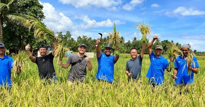 Berkat Dukungan PT Vale, Milenial Pomalaa Mulai Melek Pertanian Organik