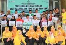 Kemenag Sultra Kumpulkan 1.035 Hewan Kurban Kemenag Sultra Kumpulkan 1.035 Hewan Kurban