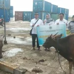 KSOP Kendari Kurban 10 Ekor Sapi dan 3 Ekor Kambing KSOP Kendari Kurban 10 Ekor Sapi dan 3 Ekor Kambing