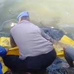 Wanita yang Ditemukan Meninggal di Sekitar Asrama Dayung Kendari Tak Punya Riwayat Penyakit Wanita yang Ditemukan Meninggal di Sekitar Asrama Dayung Kendari Tak Punya Riwayat Penyakit