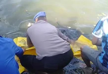 Wanita yang Ditemukan Meninggal di Sekitar Asrama Dayung Kendari Tak Punya Riwayat Penyakit Wanita yang Ditemukan Meninggal di Sekitar Asrama Dayung Kendari Tak Punya Riwayat Penyakit