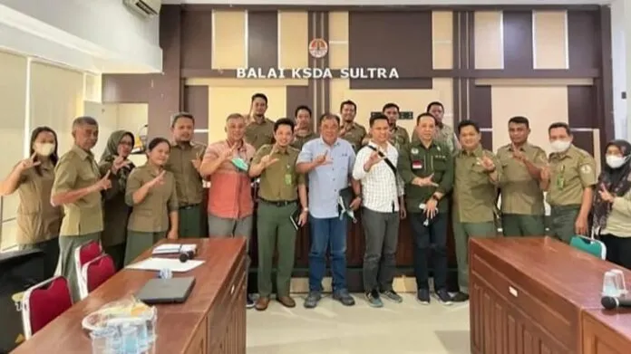 BKSDA Sultra Berupaya Selamatkan Anoa yang Muncul di PT SCM