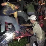 Buaya yang Ditangkap di Buton Dilepasliarkan di Kawasan Mangrove Tetengguluri TNRAW Buaya yang Ditangkap di Buton Dilepasliarkan di Rawa Aopa Watumohai