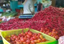 Hasil Sidak TPID Sultra, Harga Cabe Naik Hasil Sidak TPID Sultra, Harga Cabe Naik