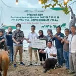 Antam dan KSO MTT Salurkan 20 Sapi Kurban di Konut Antam dan KSO MTT Salurkan 20 Sapi Kurban di Konut