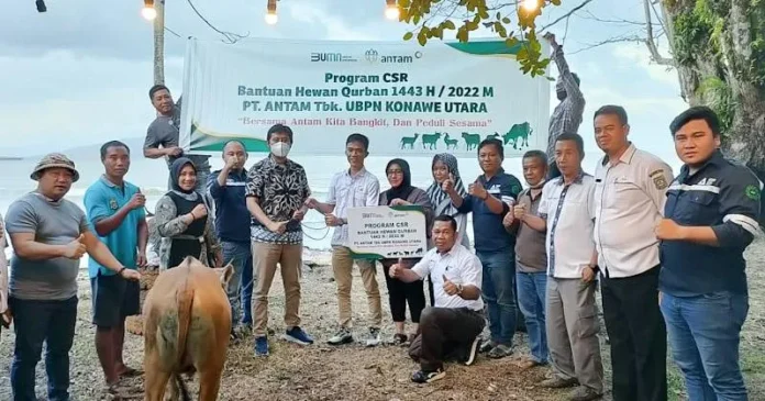 Antam dan KSO MTT Salurkan 20 Sapi Kurban di Konut