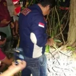 Tulang Belulang Kerangka Manusia Ditemukan di Kolaka Tulang Belulang Kerangka Manusia Ditemukan di Kolaka