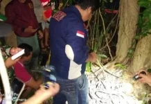 Tulang Belulang Kerangka Manusia Ditemukan di Kolaka Tulang Belulang Kerangka Manusia Ditemukan di Kolaka