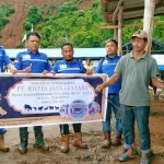 Sambut Iduladha, PT RJL Kolut Salurkan 15 Ekor Sapi Kurban Sambut Iduladha, PT RJL Kolut Salurkan 15 Ekor Sapi Kurban