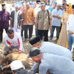 Polres Baubau Kurban 14 Ekor Sapi dan Salurkan Bantuan Beras Polres Baubau Kurban 14 Ekor Sapi dan Salurkan Bantuan Beras