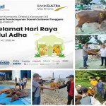 Iduladha 1443 Hijriah, Bank Sultra Salurkan 28 Ekor Sapi Kurban Iduladha 1443 Hijriah, Bank Sultra Salurkan 28 Ekor Sapi Kurban