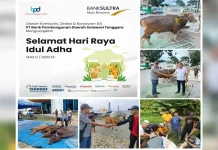 Iduladha 1443 Hijriah, Bank Sultra Salurkan 28 Ekor Sapi Kurban Iduladha 1443 Hijriah, Bank Sultra Salurkan 28 Ekor Sapi Kurban
