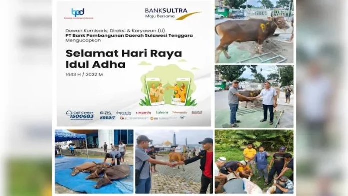 Iduladha 1443 Hijriah, Bank Sultra Salurkan 28 Ekor Sapi Kurban